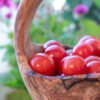 Olive Wood Fruit Basket - Side View Olive wood fruit basket with handle, side view