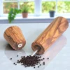 20220304_150056-Photoroom Olive Wood Mechanism Lidded Salt Cellar